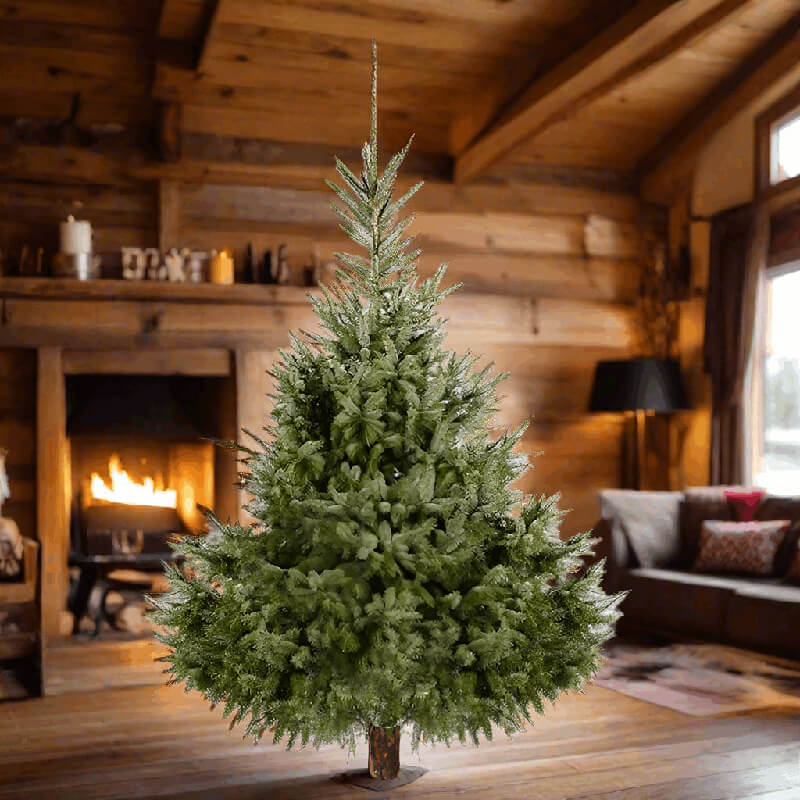 Kerstboom